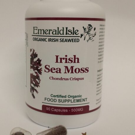 Irish Moss (Chondrus crispus)